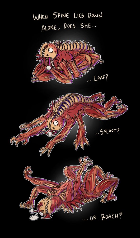 When Spine lies down alone, does she...
... loaf?
... sploot?
... or roach?

(roaching in question is of the greyhound variety)
