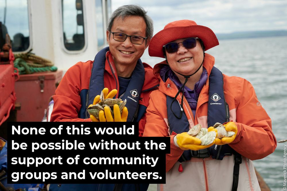 Two volunteers from ELREC (Edinburgh & Lothians Regional Equality Council). Both are wearing red and orange waterproof clothing and are smiling towards the camera as they hold handfuls of European flat oysters. Overlapping text reads, 'None of this would
be possible without the support of community groups and volunteers.'