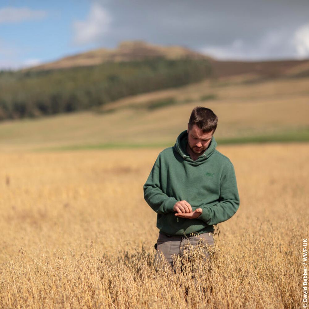 Stuart, Nature Friendly Farmer, in a field of winter oats planted on Whitriggs Farm, Hawick, Scotland.