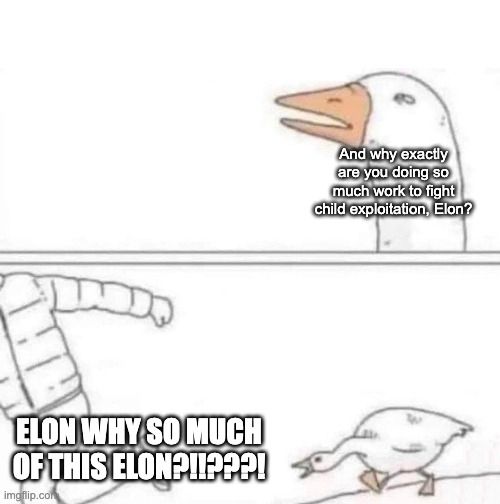 Goose chase meme image. Two panels. In the top panel a white goose is sitting calmly in the right side of the frame, looking up and to the left. Over the goose is the sentence "And why exactly are you doing so much work to fight child exploitation, Elon?" In the bottom panel the goose is chasing a person who is running away from right to left. Transformed into all caps is the sentence "Elon why so much of this Elon?!!???!"