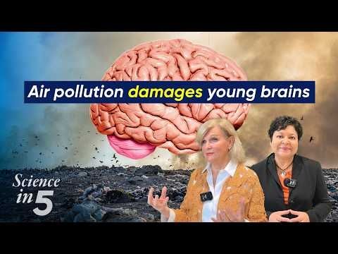 WHO's Science in 5 - Air pollution damages young brains - 2 July 2025