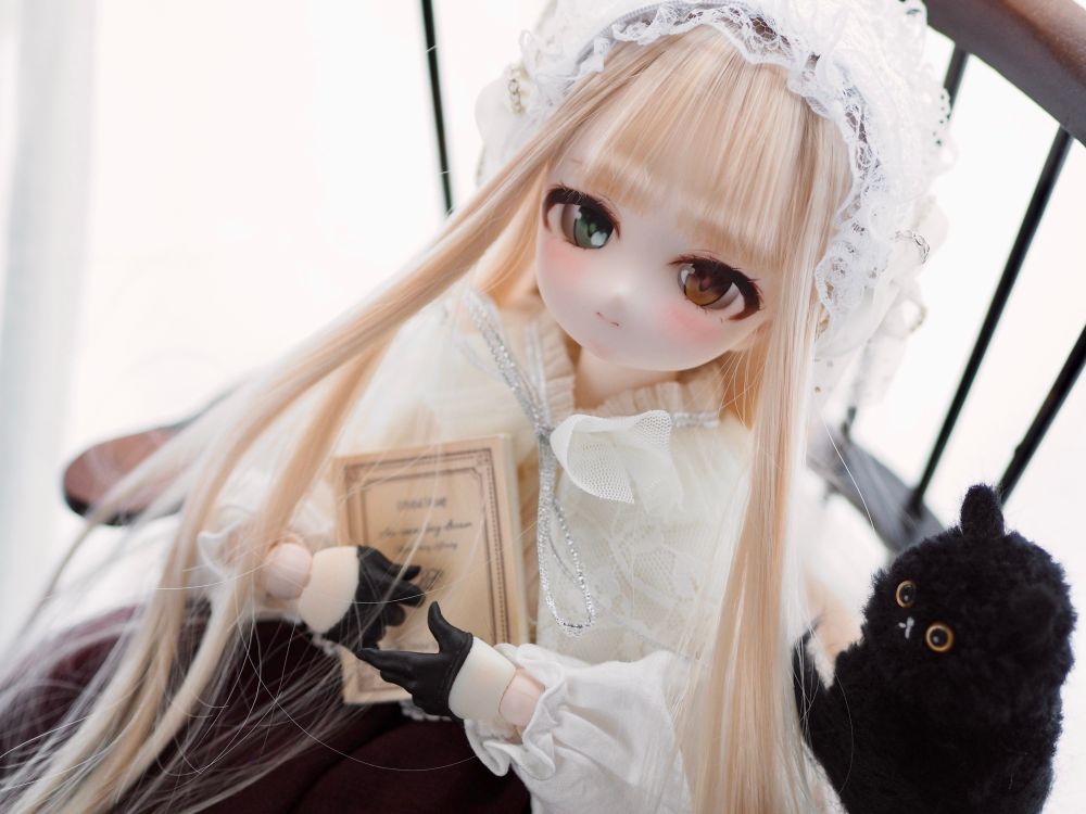 MDD 文庫本と猫さんのサイズ感