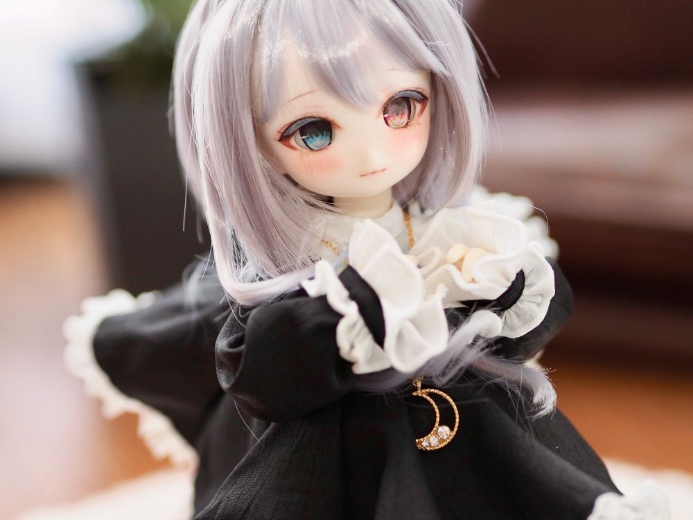 TinyFox X01S 白功
リキテックス･ファレホ･パステル使用。