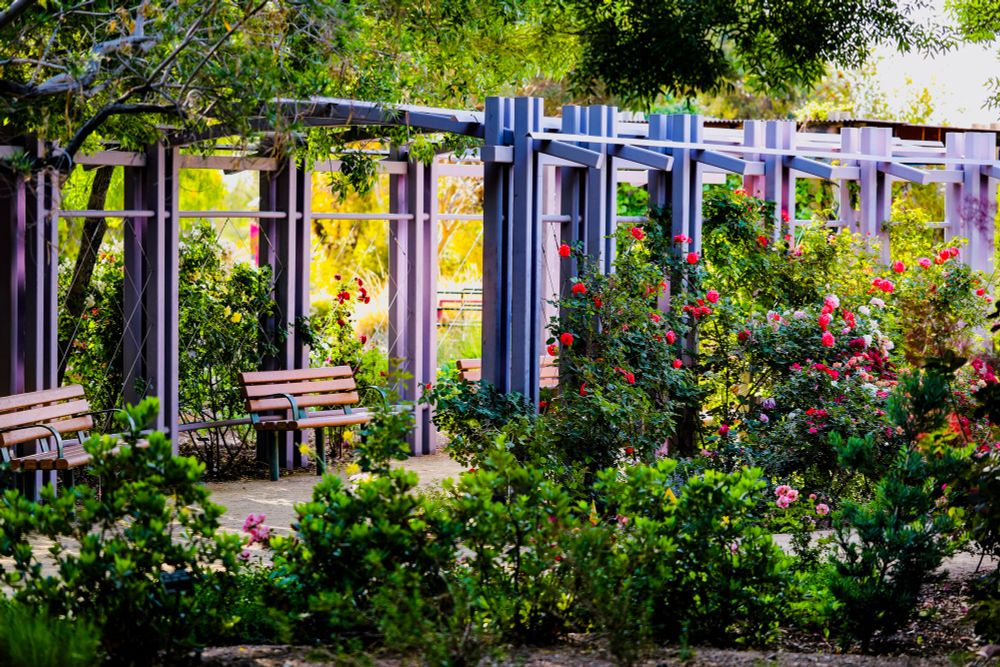 Springs Preserve Botanical Garden