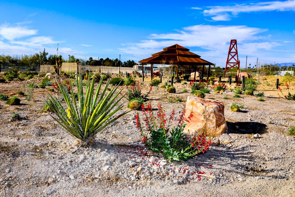 Springs Preserve Nuwu Passats garden