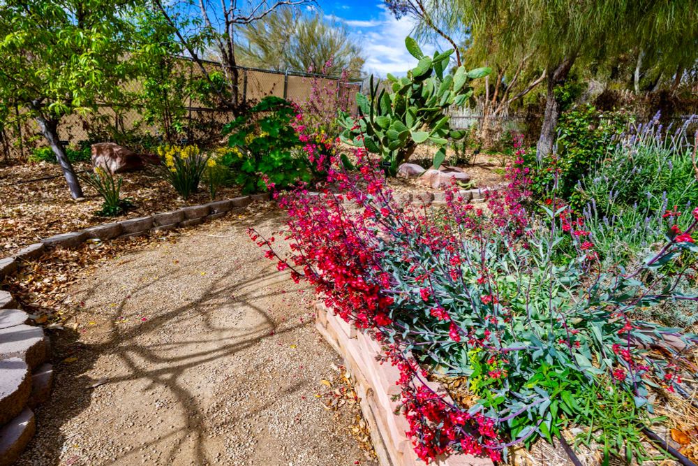 Springs Preserve Botanucal Garden in Las Vegas, NV
