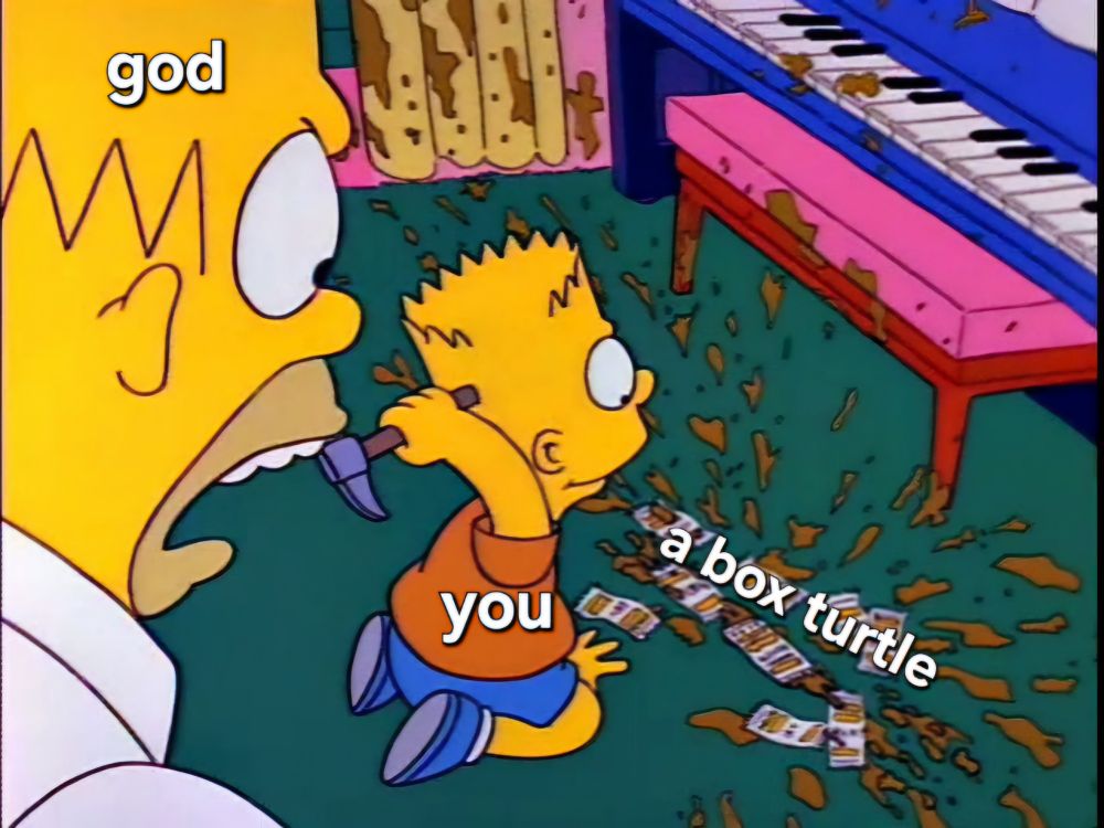 Homer yelling at Bart from "The Simpsons" as Bart is hammering mustard packets and singing "jingle bells", but with "god" written on Homer, "you" on Bart, and "a box turtle" on the mustard. 