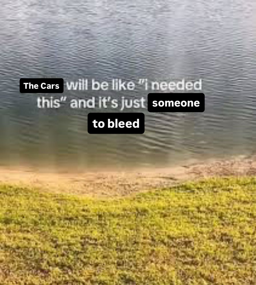 My text overlaid on a popular tik tok meme

THE CARS WILL BE LIKE I NEEDED THIS AND IT’S JUST SOMEONE TO BLEED