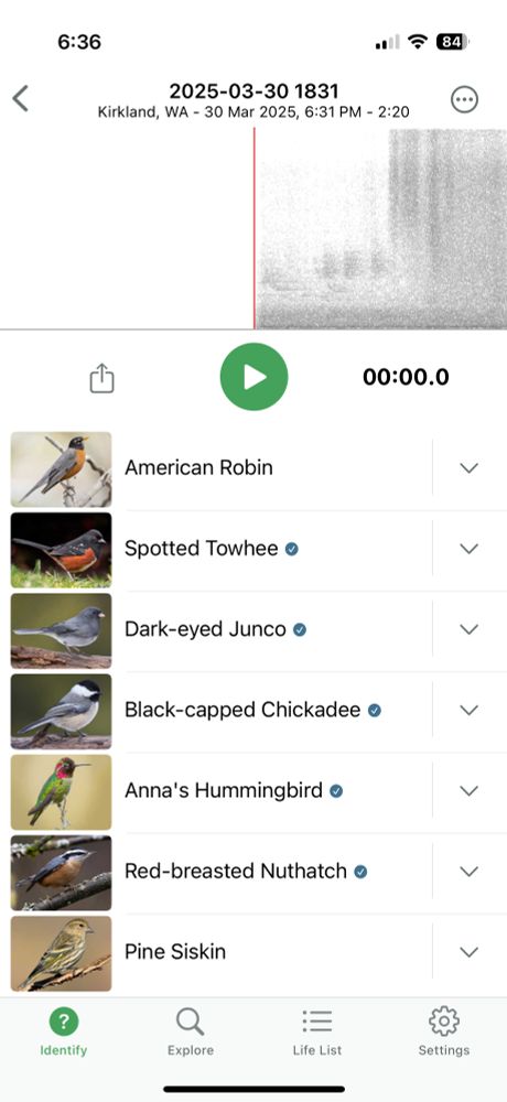 Screen shot of a Merlin app bird sound recording and bird identifications. Listed is American Robin, Spotted Towhee, Dark-eyed Junco, Black-capped Chickadee, Anna’s Hummingbird, Red-breasted Nuthatch, and Pine Siskin.