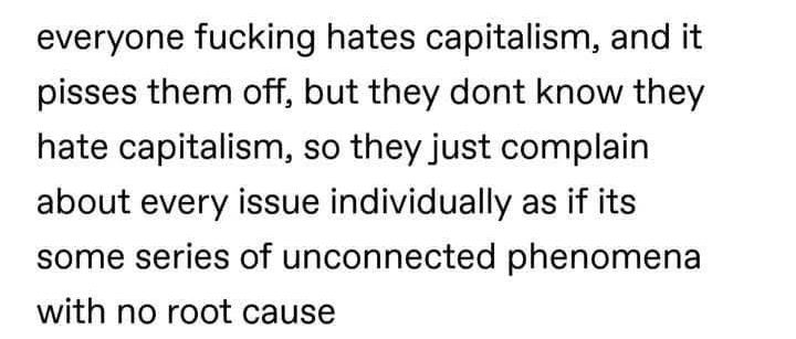 everyone fucking hates capitalism, and it pisses them off, but they dont know they hate capitalism, so they just complain about every issue individually asif its some series of unconnected phenomena with no rootcause