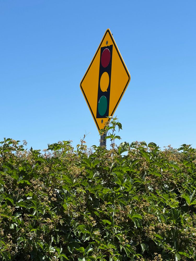 Stoplight ahead