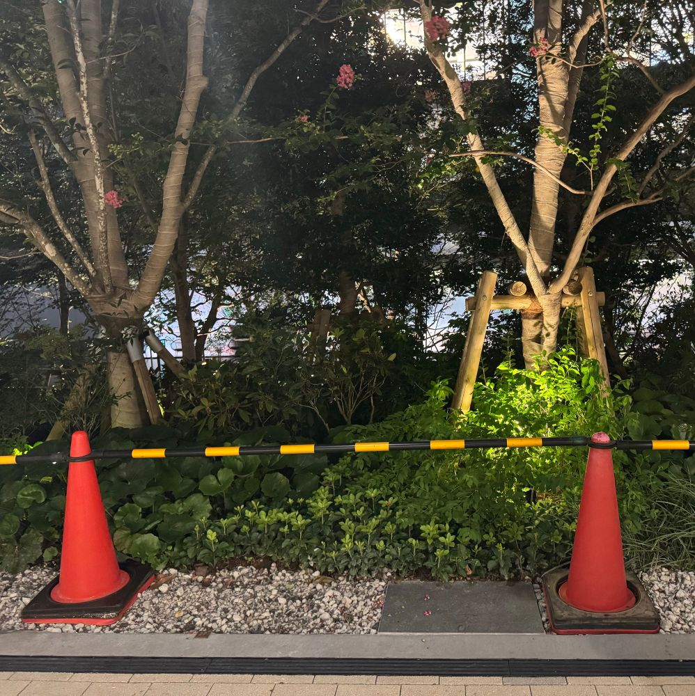 東京の木
Trees of Tokyo
