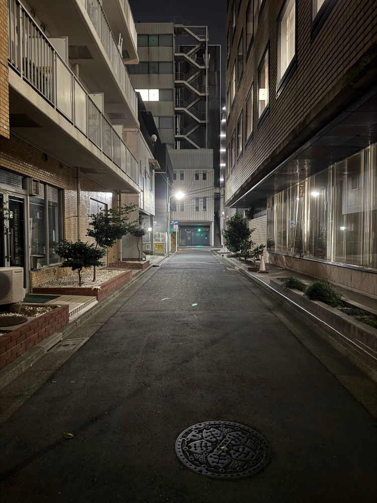 五反田の路地
Alleys of Tokyo