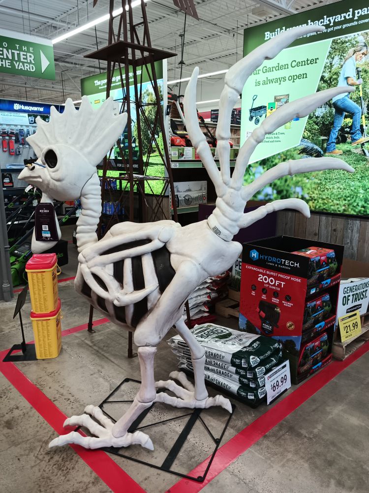 Picture of a giant skeletal chicken (dinosaur?), perfect for a certain skeetmonger's collection.