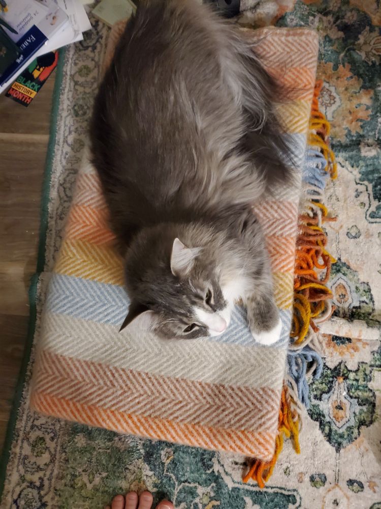 A grey long-haired cat is sleeping on a folded, striped wool blanket.
