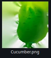 cucumber.png
a texture for a 3d asset