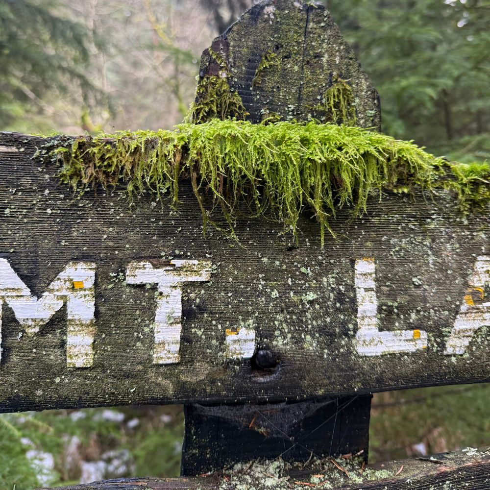The trail from Mountain Lake to Twin Lakes runs up a narrow, steep-walled valley that was completely free of fog, a microclimatic rain shadow where fog and mist that form over the lake can’t settle into the valley due to differences in air flow, temperature, and humidity.