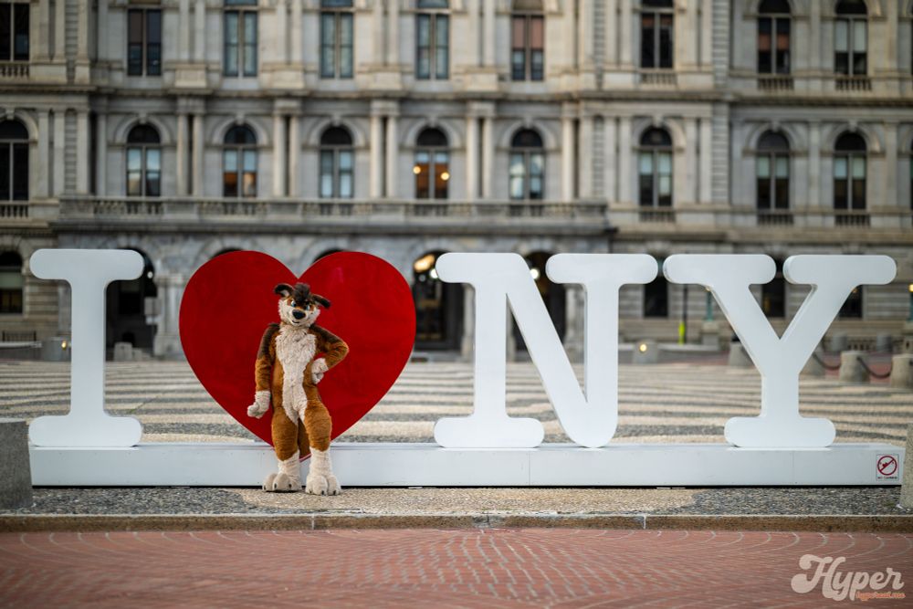 A red wolf fursuiter poses hands on hips in front of the heart of the "I♥️NY" sign at the Empire State Plaza in Albany, NY. The NYS Capitol is in the background.