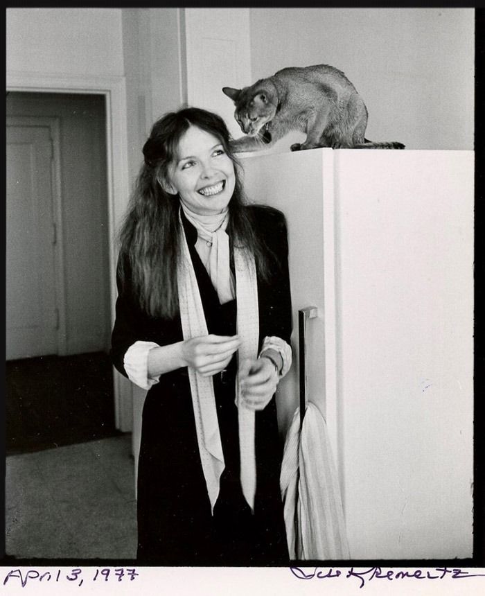 Foto de Diane Keaton de 1977. Ela está junto a uma geladeira e seu gato abissínio está no topo dessa geladeira, brincando com os cabelos dela.