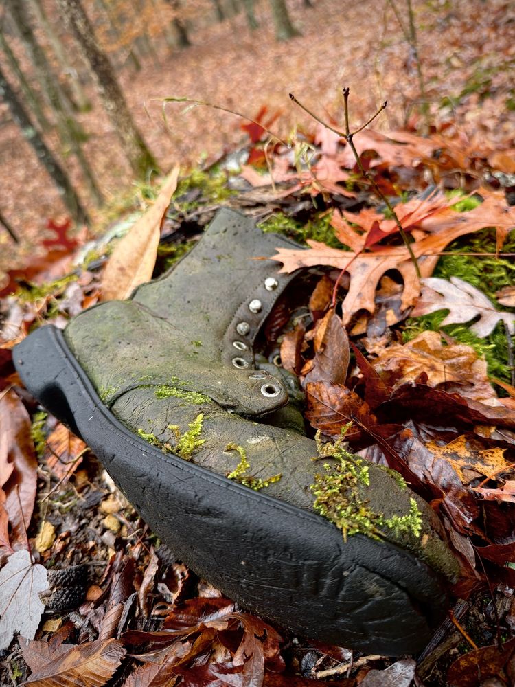 In the rainy woods today, I took a snapshot of an old leather boot. It's arranged with the sole positioned diagonally across the bottom left corner of the image; the sole is black, worn nearly smooth, and separating at the toe. The dull grey leather upper has moss growing on it and the eyelets are the color of pewter. The boot is lying on a mossy fall leaf-covered mound; the fallen leaves are rich shades of brown and the moss peeking out from beneath them is bright green. The thin trunks of young trees are visible in the background. 