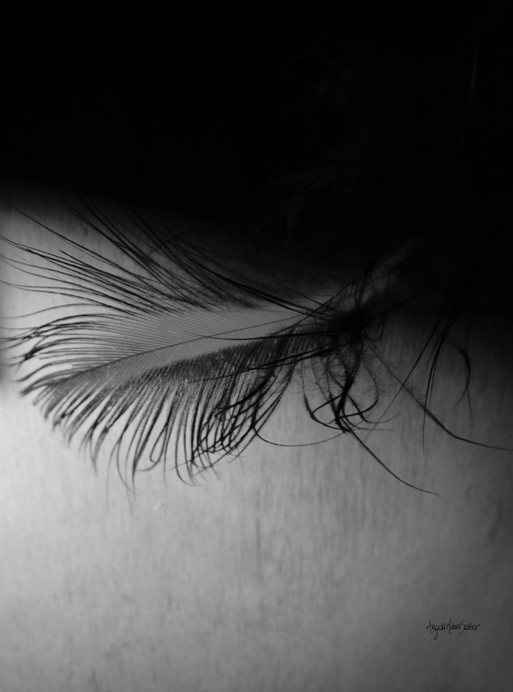 Macro monochrome of a downy edged feather. The feather is black with a pale center and has long fuzzy tendrils. It's sitting on a pale textured surface which is partially lighted, leaving the top diagonal of the frame in complete darkness. 