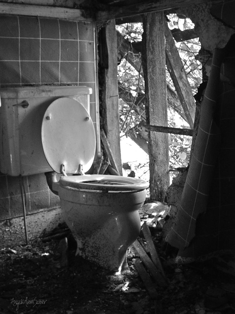 Monochrome photograph of a bathroom toilet in a ruined house. The wall to our right is mostly gone, revealing the inner wood structure and a view of the outdoors. The floor is covered with dirt and debris from the decay and weather exposure. The wall covering is a large windowpane check and is peeled back, falling from the remaining wall. The toilet seat is down; the lid is up. 