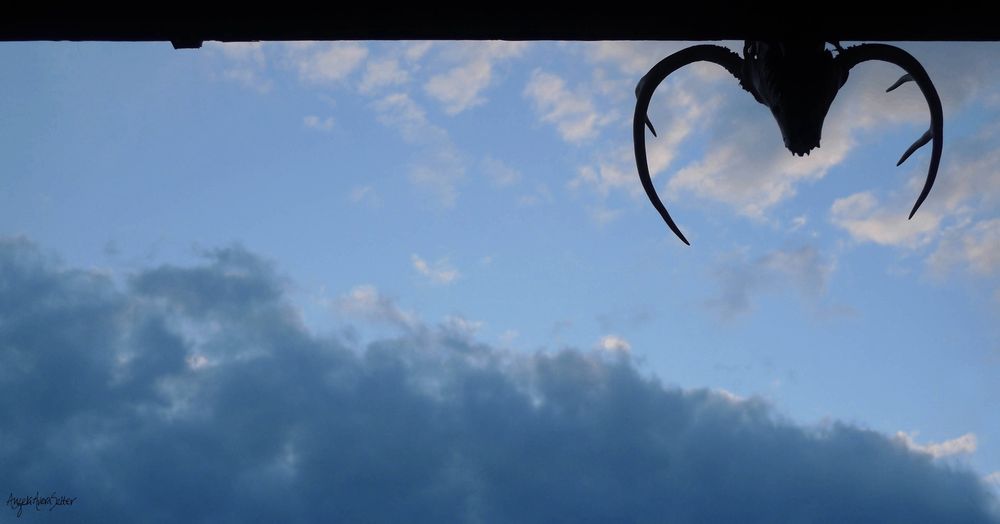 Long horizontal photograph, mostly medium blue sky with steel grey clouds along the bottom edge and left corner; snippets of warm grey and white foamy bits of clouds on the top right; a deer skull with antlers is in silhouette, upside-down, on the top right, attached to a barn roof edge which also appears in black silhouette along the top edge of the photograph. Fall is approaching, drought is persisting, tree leaves are dried and falling prematurely from the lack of rain, cool nighttime temps are a relief from this summer's extreme heat. Deer season will begin soon and the woods around us will ring with gunfire. The skull in this image is from a deer we found dead on our property, the victim of a poor shot from next door. I'm not against hunting, if done responsibly.