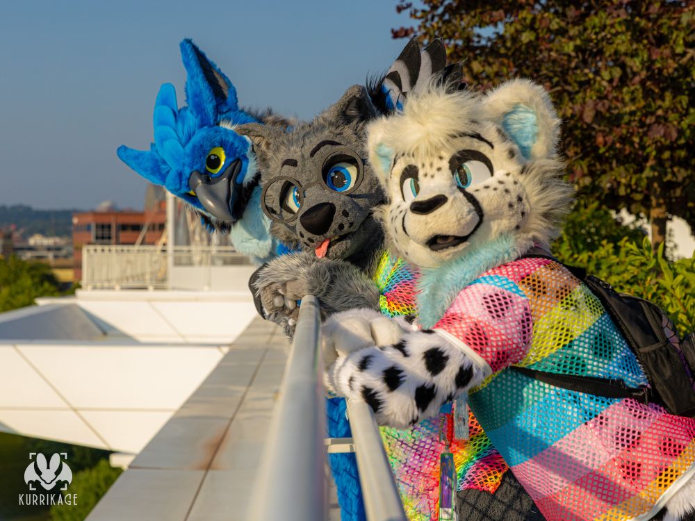 A photo of me in my toony gray wolf fursuit, Lost in his blue gryphon fursuit, and Nightwish in his white cheetah fursuit, on the roof of the DLCC. 