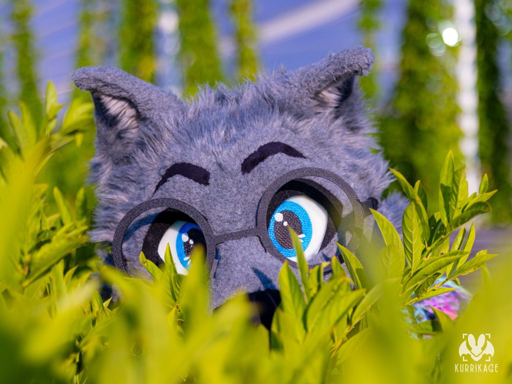 A photo of me in my toony gray wolf fursuit on the roof of the DLCC. 