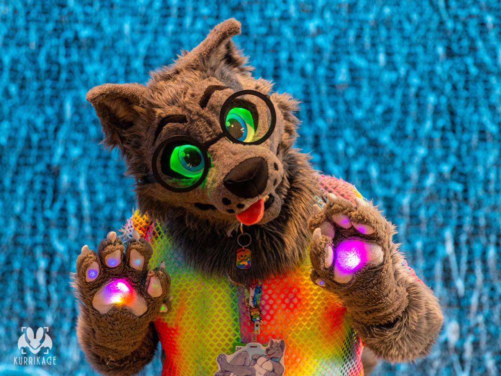 A photo of me in my toony gray wolf fursuit, under the DLCC