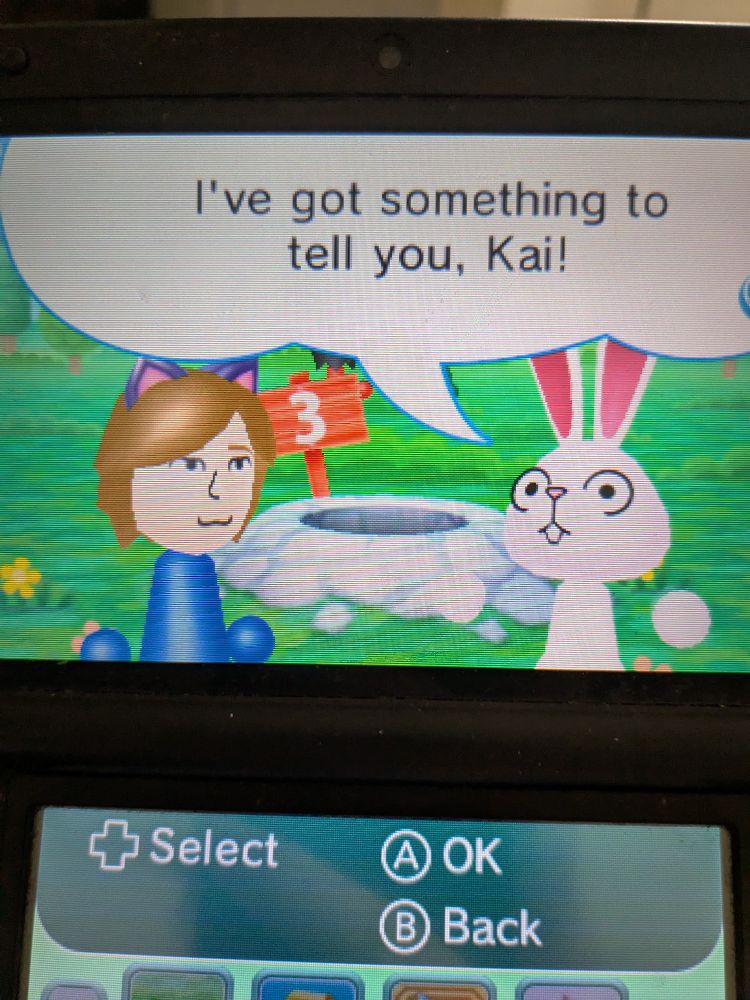 picture of the street pass app on the 3ds. There's a bunny Mii character saying "I've got something to tell you, Kai!" To my Mii