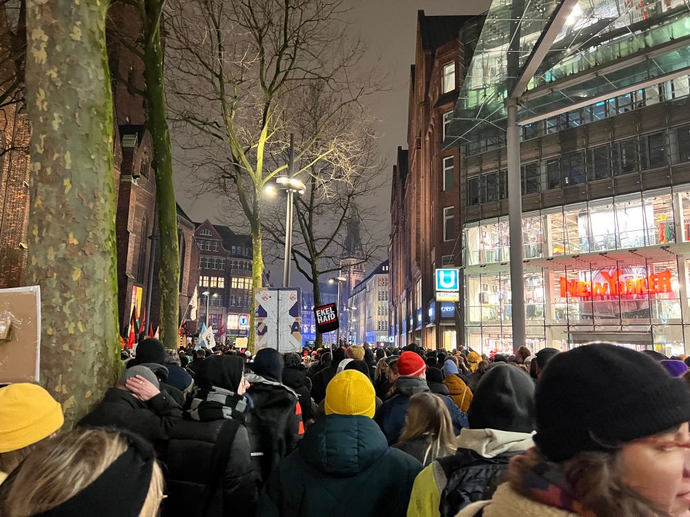 Bild von Demo gegen die AfD und den Besuch von Alice Weidel