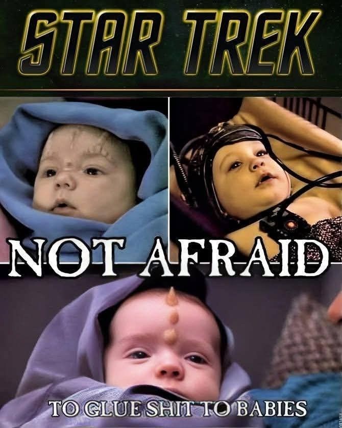 meme. at the top, the text says "Star Trek." Below are 3 photos of babies taken from various episodes of Star Trek. at the top left is a cardassian baby, to the right is a borg baby; at the bottom is a Ktarian baby. at the very bottom, the full text reads "Star Trek not afraid to glue shit to babies."