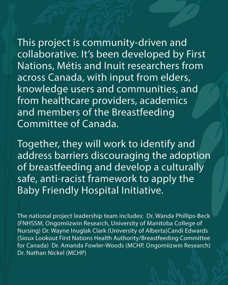 This project is community- driven and collaborative. It’s been developed by First Nations, Métis and Inuit researchers from across Canada, with input from elders, knowledge users and communities, and from healthcare providers, academics and members of the Breastfeeding Committee of Canada. Together, they will work to identify and address barriers discouraging the adoption of breastfeeding and develop a culturally safe, anti-racist framework to apply the Baby Friendly Hospital Initiative.
The national project leadership team includes: 
Dr. Wanda Phillips-Beck (FNHSSM, Ongomiizwin Research, University of Manitoba College of Nursing)
Dr. Wayne Inuglak Clark (University of Alberta)
Candi Edwards (Sioux Lookout First Nations Health Authority/BCC)
Dr. Amanda Fowler-Woods (MCHP, Ongomiizwin Research) 
Dr. Nathan Nickel (MCHP, BCC)
