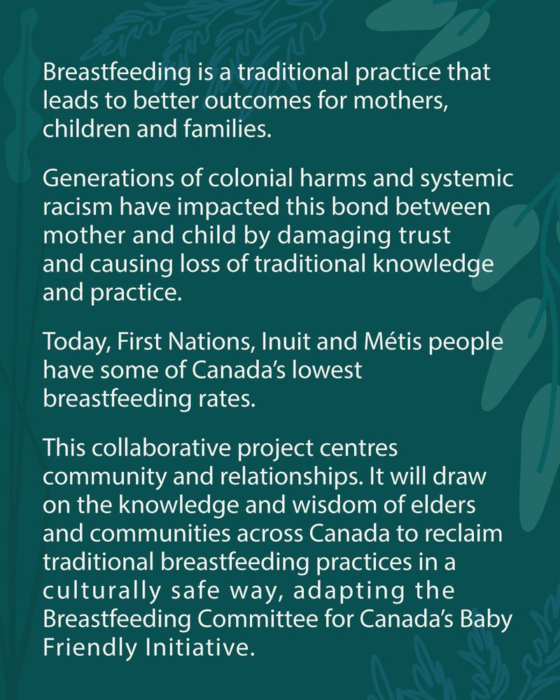 Breastfeeding is a traditional practice that leads to better outcomes for mothers, children and families
Generations of colonial harms and systemic racism have impacted this bond between mother and child by damaging trust and causing loss of traditional knowledge and practice
Today, First Nations, Inuit and Métis people have some of Canada’s lowest breastfeeding rates.
This collaborative project centres community and relationships. It will draw on the knowledge and wisdom of elders and communities across Canada to reclaim traditional breastfeeding practices in a culturally safe way, adapting the Breastfeeding Committee for Canada’s Baby Friendly Initiative.
