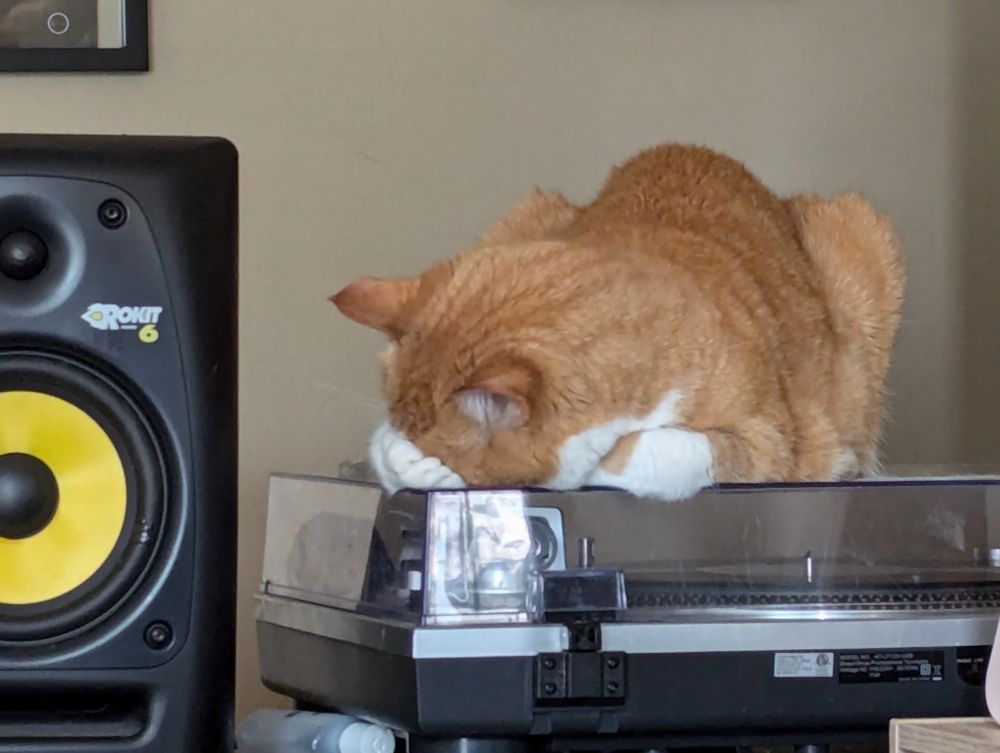An orange cat lying on a turntable with his head buried in his paw.