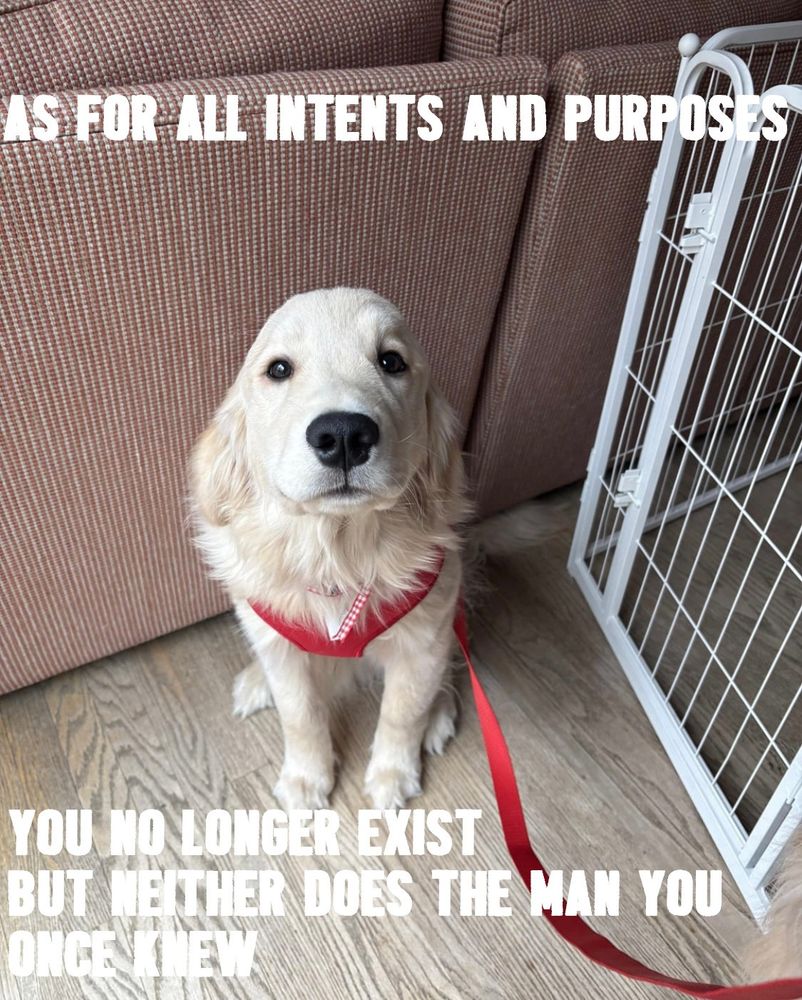 dog picture with allcaps text saying "AS FOR ALL INTENTS AND PURPOSES YOU NO LONGER EXIST; BUT NEITHER DOES THE MAN YOU ONCE KNEW" (KEN mode - "Messenger of Teeth")