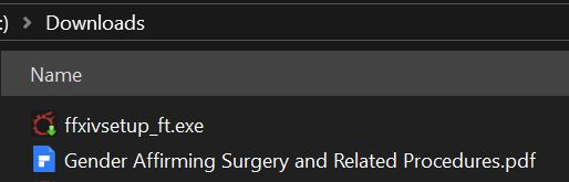 Image of a downloads folder showing a pdf of "Gender Affirming Surgery and Related Procedures" and the set up for Final Fantasy 14 executable. Insert FF14 copypasta here.