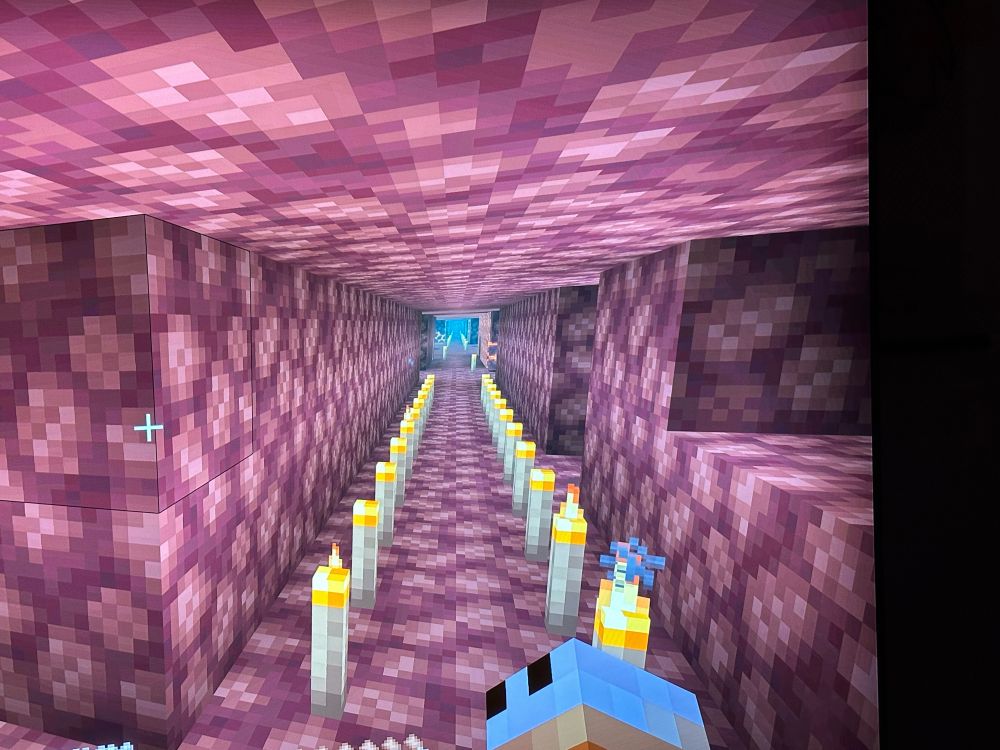 A tunnel I built to our blaze spawner. I also did other things in the nether which took 3-5 hours which is why I feel insane lol 