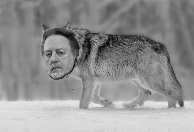 Der Kopf des Dichters Ror Wolf, notdürftig auf einen Wolfskörper photogeshoppt.