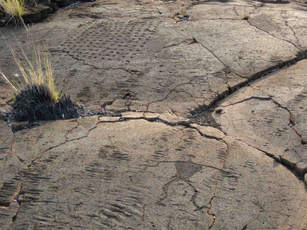 Kīholo petroglyphs at sunset.