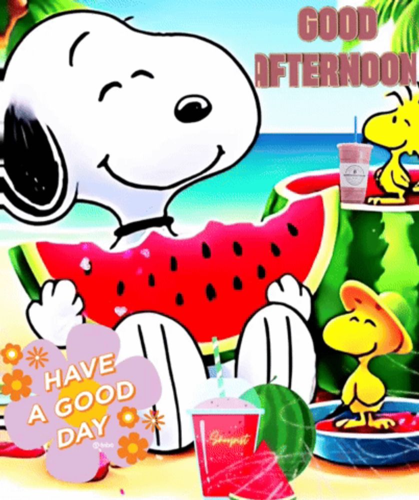 a cartoon of snoopy eating a slice of watermelon on the beach