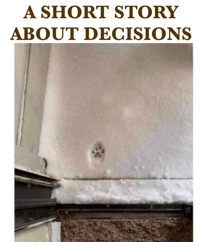 Headline: "Open the door, I wanna go out." Caption: " A SHORT STORY ABOUT DECISIONS." An open doorway leads to a SNOWY doorstep with ONE, SINGLE, SOLITARY dog's paw print. For our purposes, let us imagine it an eager, enthusiastic sort - the golden retriever of my nightmares, like my friend Jonna's old dog, Ruby, whom I always called Rubideaux... Who never failed to LEAP upon me with delight on greeting me at the door. I can see it clearly: Rubideaux, who lived to a ripe old age & NEVER CALMED THE FUCK DOWN like everyone CLAIMS a golden retriever will eventually calm down... Antsy, she begs to be let outside... Finally, finally, you open the door; she YIPS with joy, takes ONE step onto the frozen carpet of snow atop the Welcome mat... And promptly opts to return to her comfy bed beside the fire. FUCKING RUBIDEAUX. You can't say she didn't make a quick decision, though. If only we ALL could be so ruthlessly decisive. I, for one, would have far fewer ill-fitting clothes in my closet.