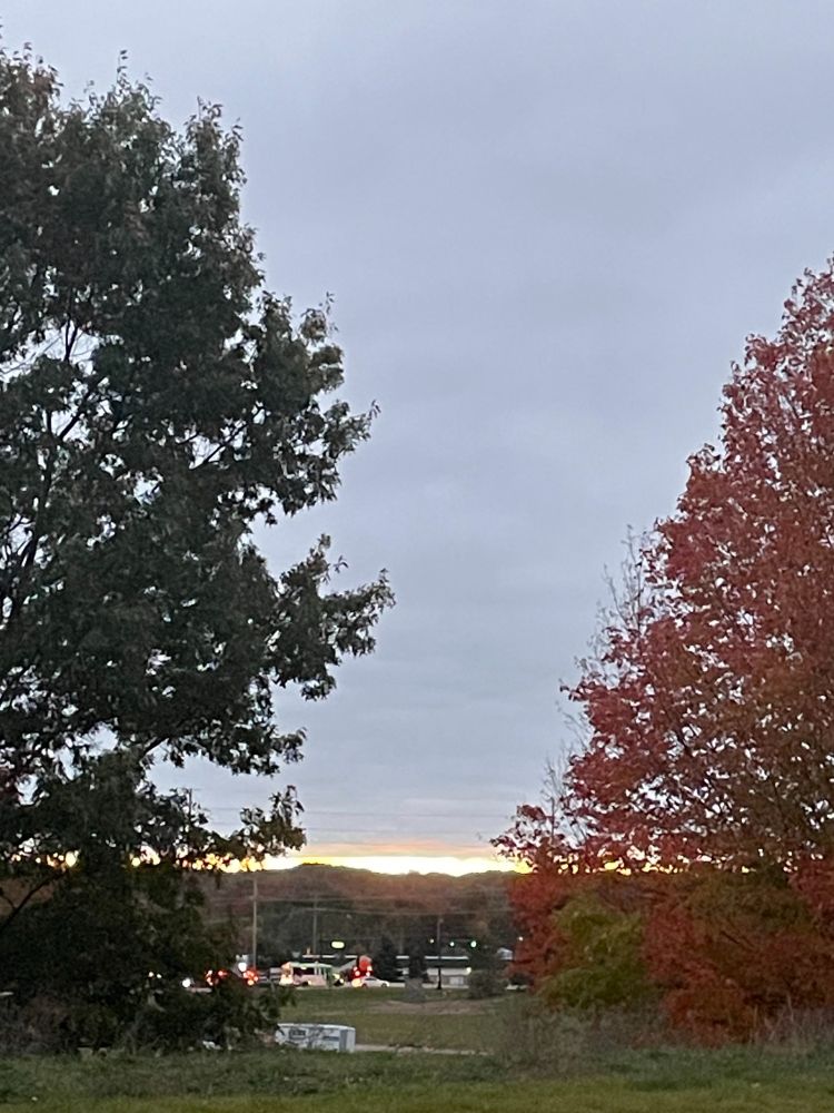 FUCK. Wrote an entire thing and it just DISAPPEARED. I fucking HATE that so much. What would seem to be a rather prosaic scene on a hilltop of a green tree on the left and a reddening one on the right, split to reveal a cloudy grey sky in the picture’s background overlooking a “busy” intersection in this relatively small northern Michigan town… becomes something a little more interesting when you focus on that line at the horizon. That’s the sunrise, creating an electric ribbon of light that crosses through the frame, above everything in the bottom quarter. The contrast of what we know is a BRILLIANT sun pushing upward through a MASS of heavy grey clouds is kind of cool, no? So. Why was my WALK so cool today? I’ve used up most of the ALT Text allotment here, so you’ll just have to move on to the next picture to find out…