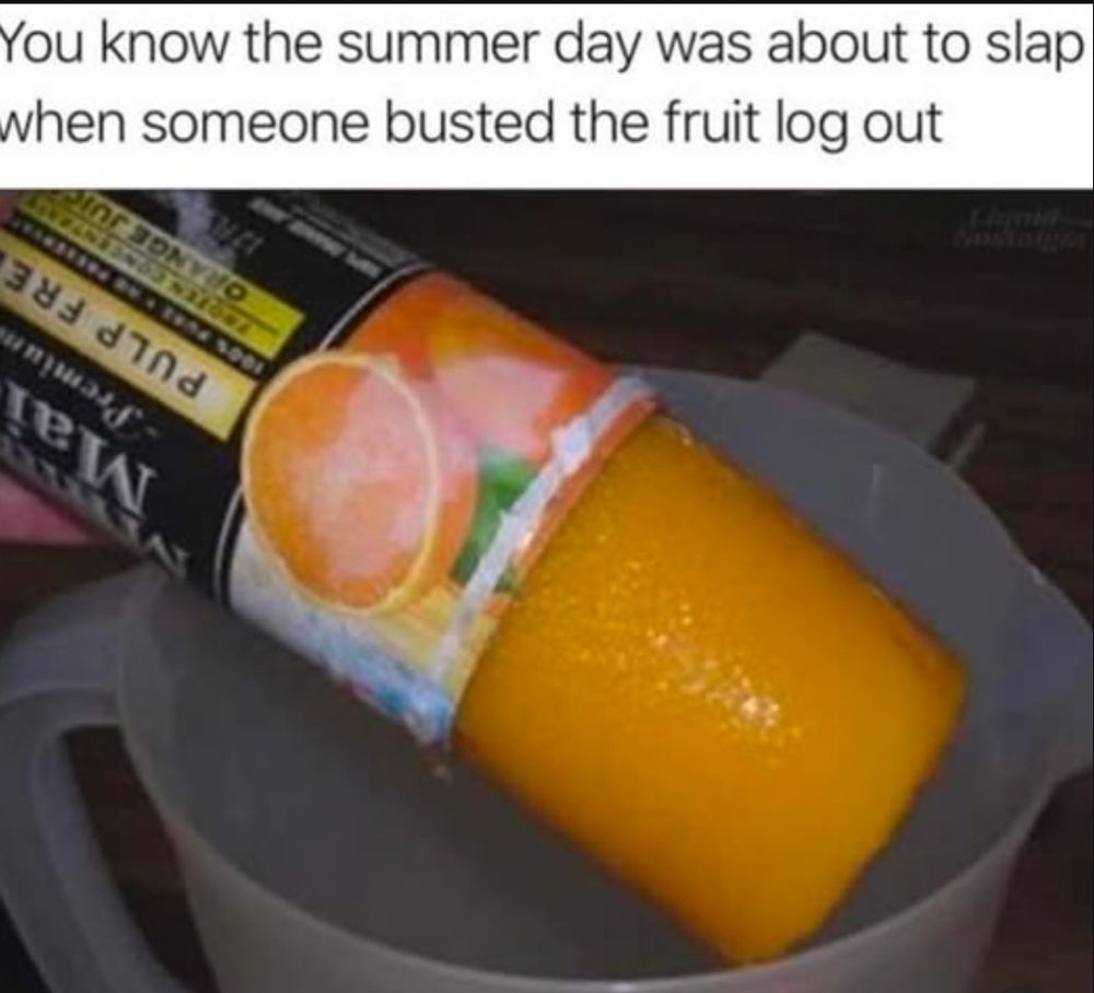 picture of one of those cans of Minute Maid orange juice concentrate stuff being schlorped into a pitcher, captioned "you know the summer day was about to slap when someone busted the fruit log out" 