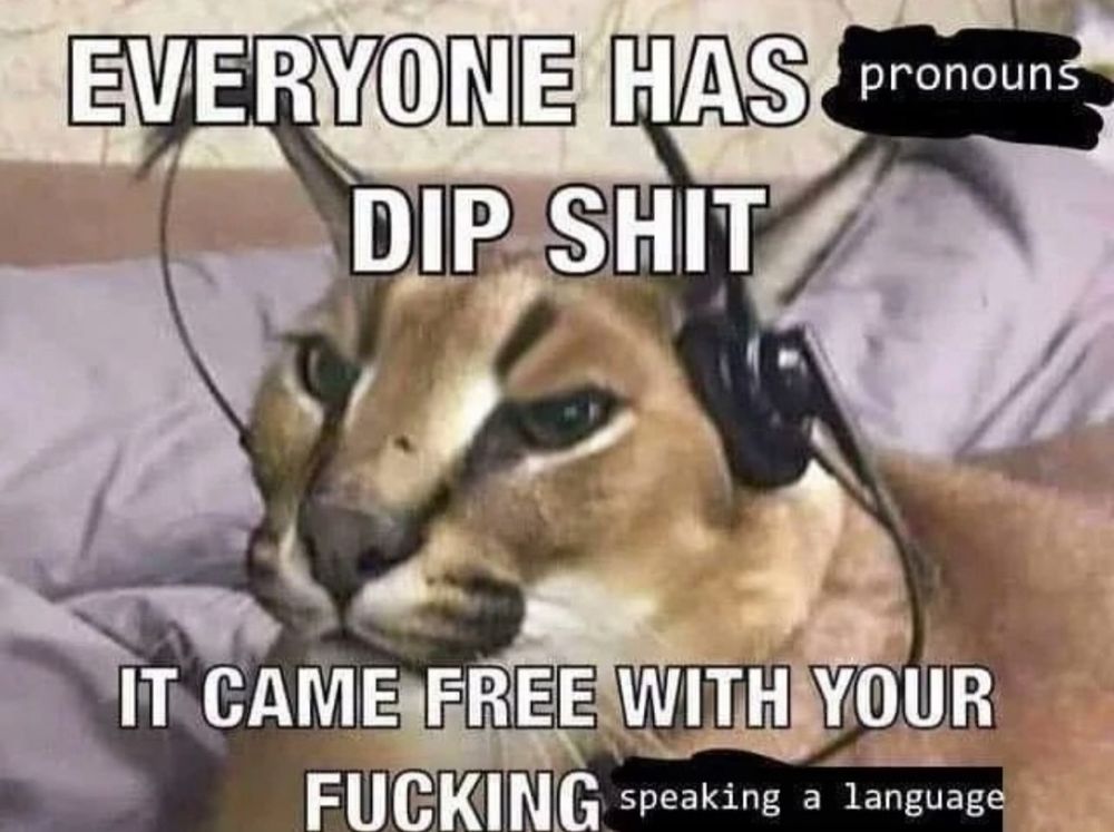 caracal cat sitting on a bed, wearing headphones and looking pissed off, captioned "everyone has pronouns dipshit, it came free with your fucking speaking a language" 