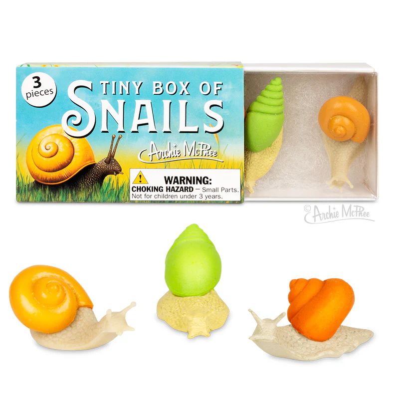 A colorful box titled "Tiny Box of Snails" contains three small, plastic snail figures in various colors: one orange, one green, and another with a yellow-orange shell. The box features a cartoon snail illustration.