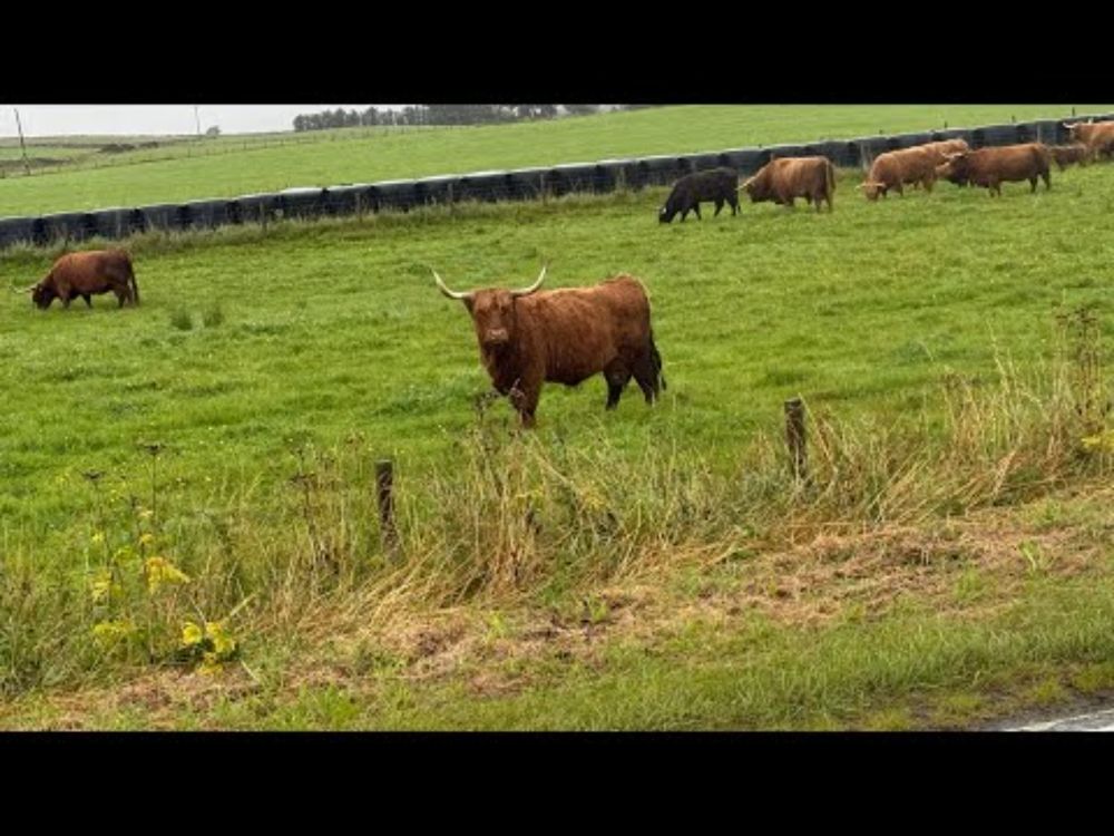 Land’s End to John O’Groats. Day 54, Dunbeath to Occumster.