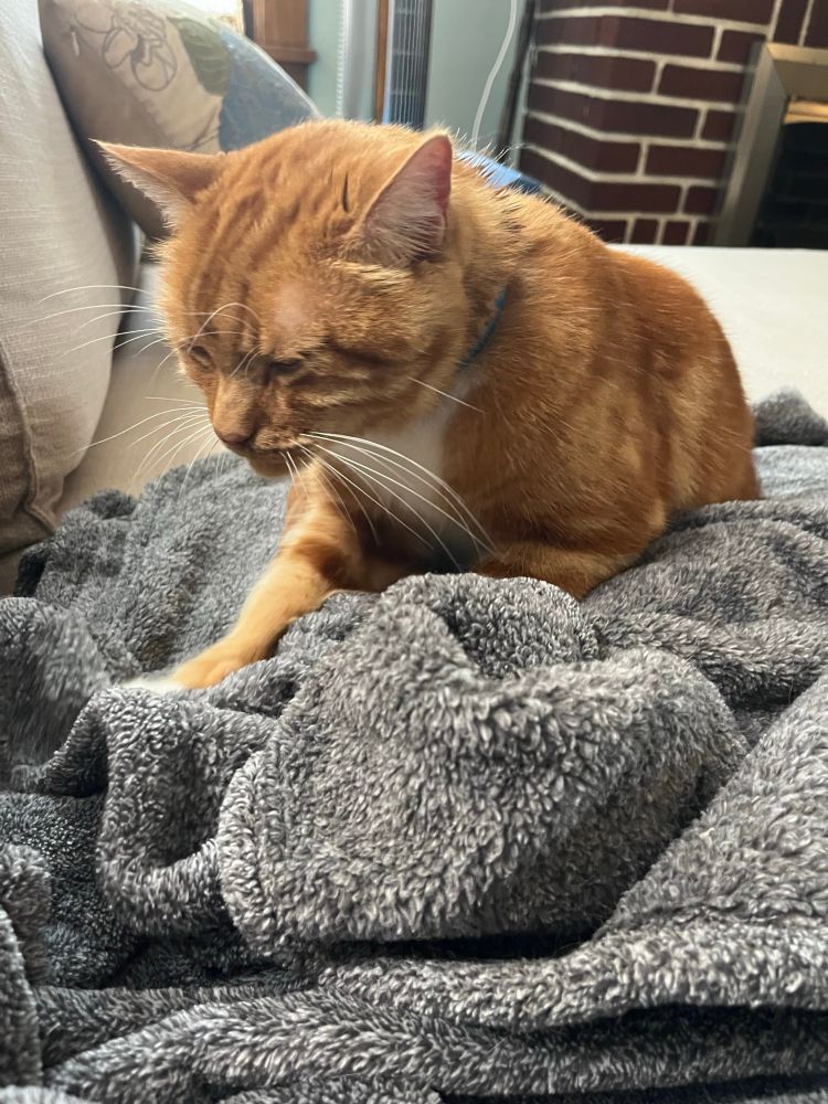 The kneading continues