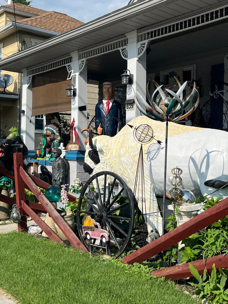 A weird yard display, of which the most prominent feature is a life size white buffalo.